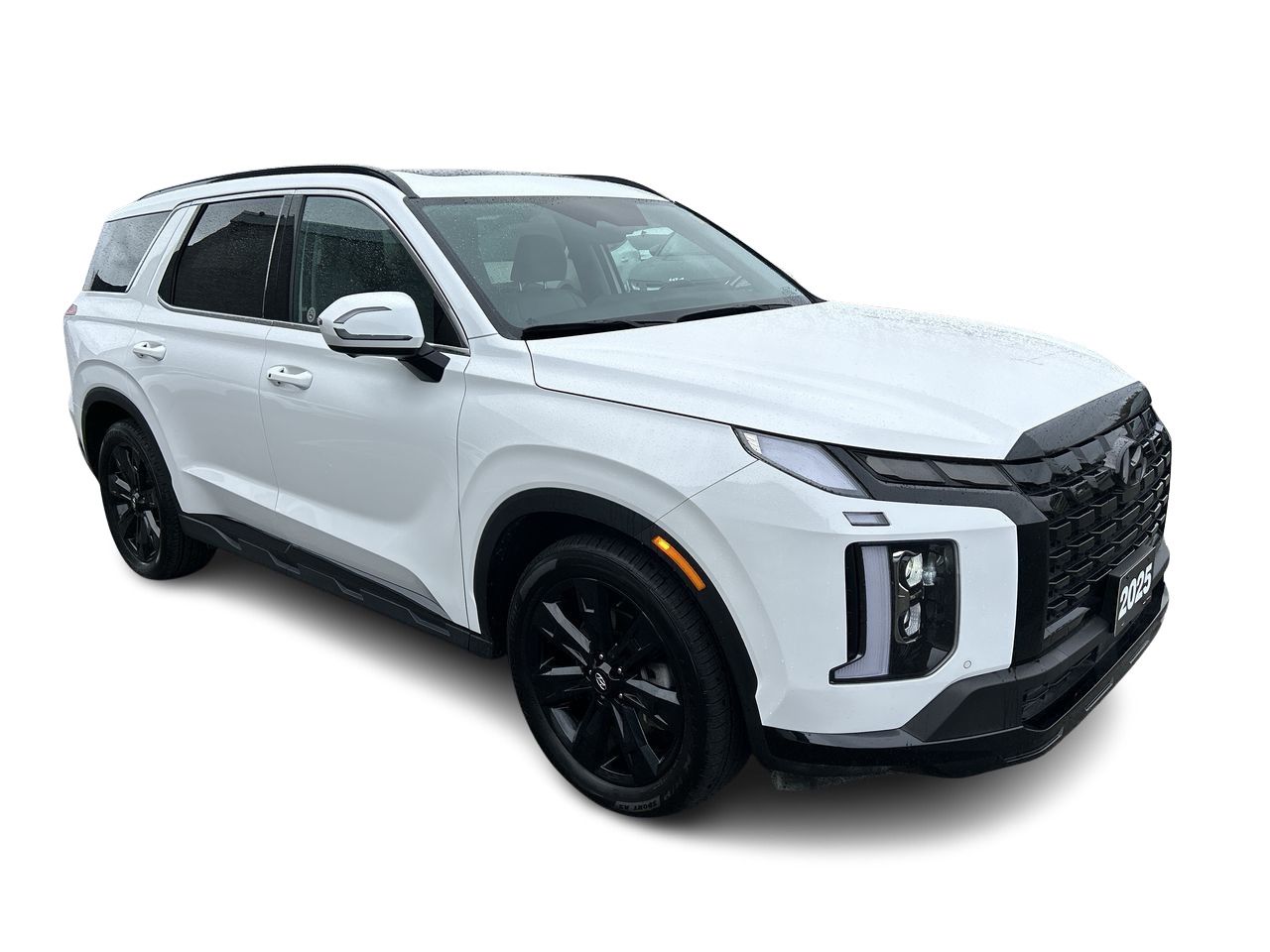 2025 Hyundai Palisade
