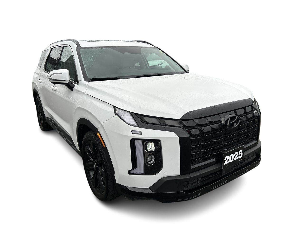 2025 Hyundai Palisade