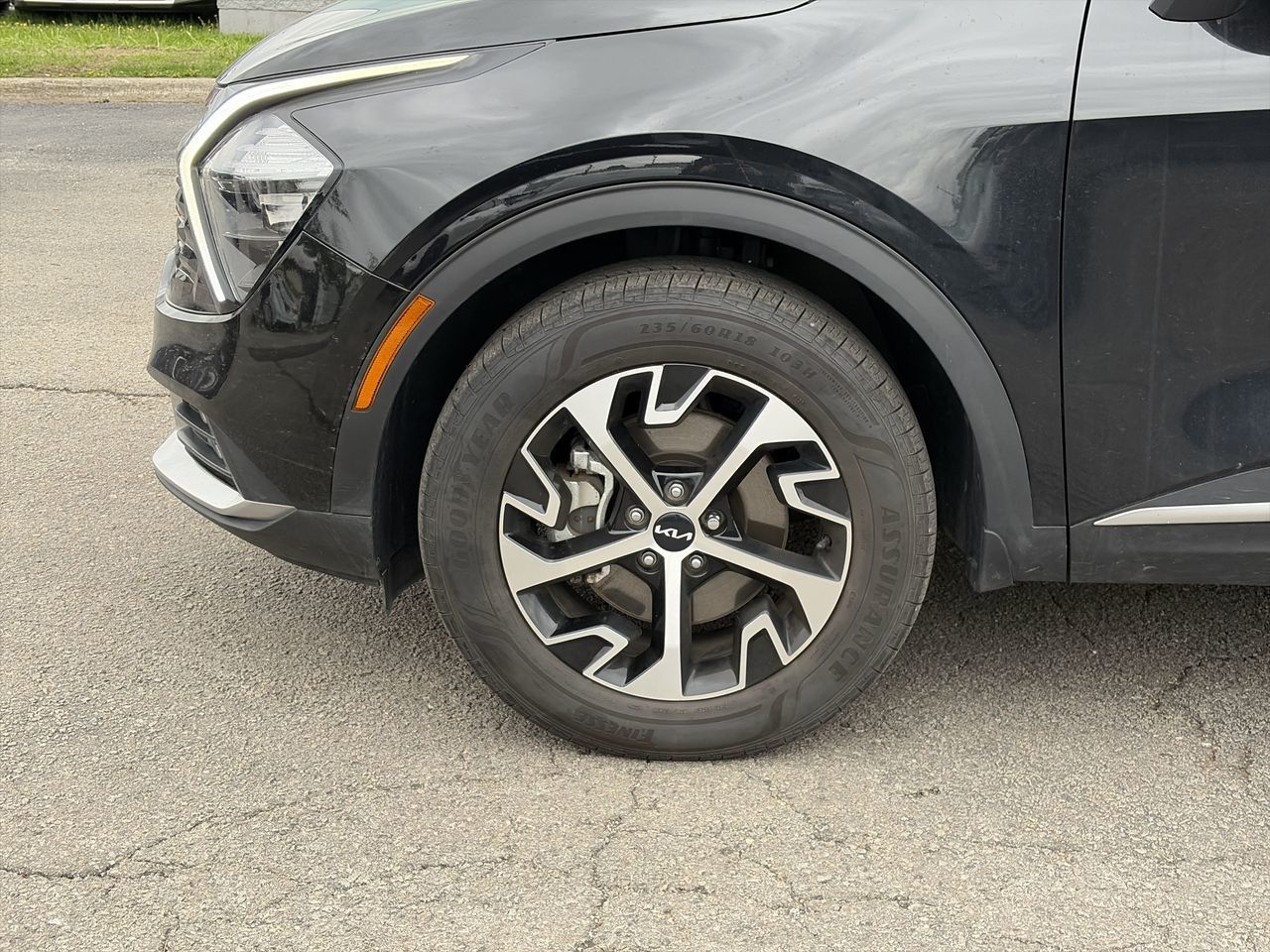 2024 Kia Sportage