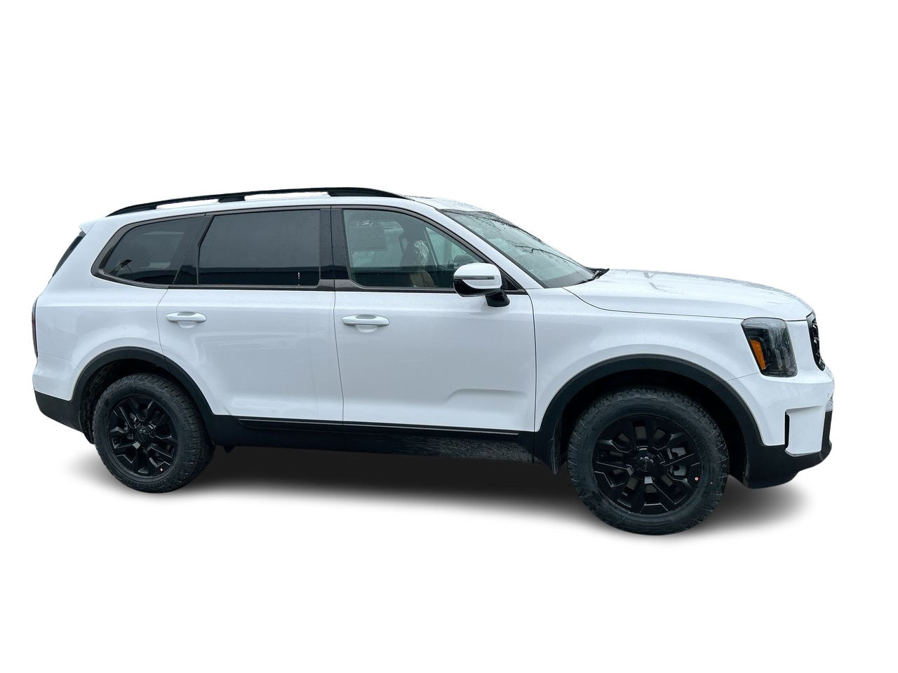 2025 Kia Telluride in Mississauga, Ontario