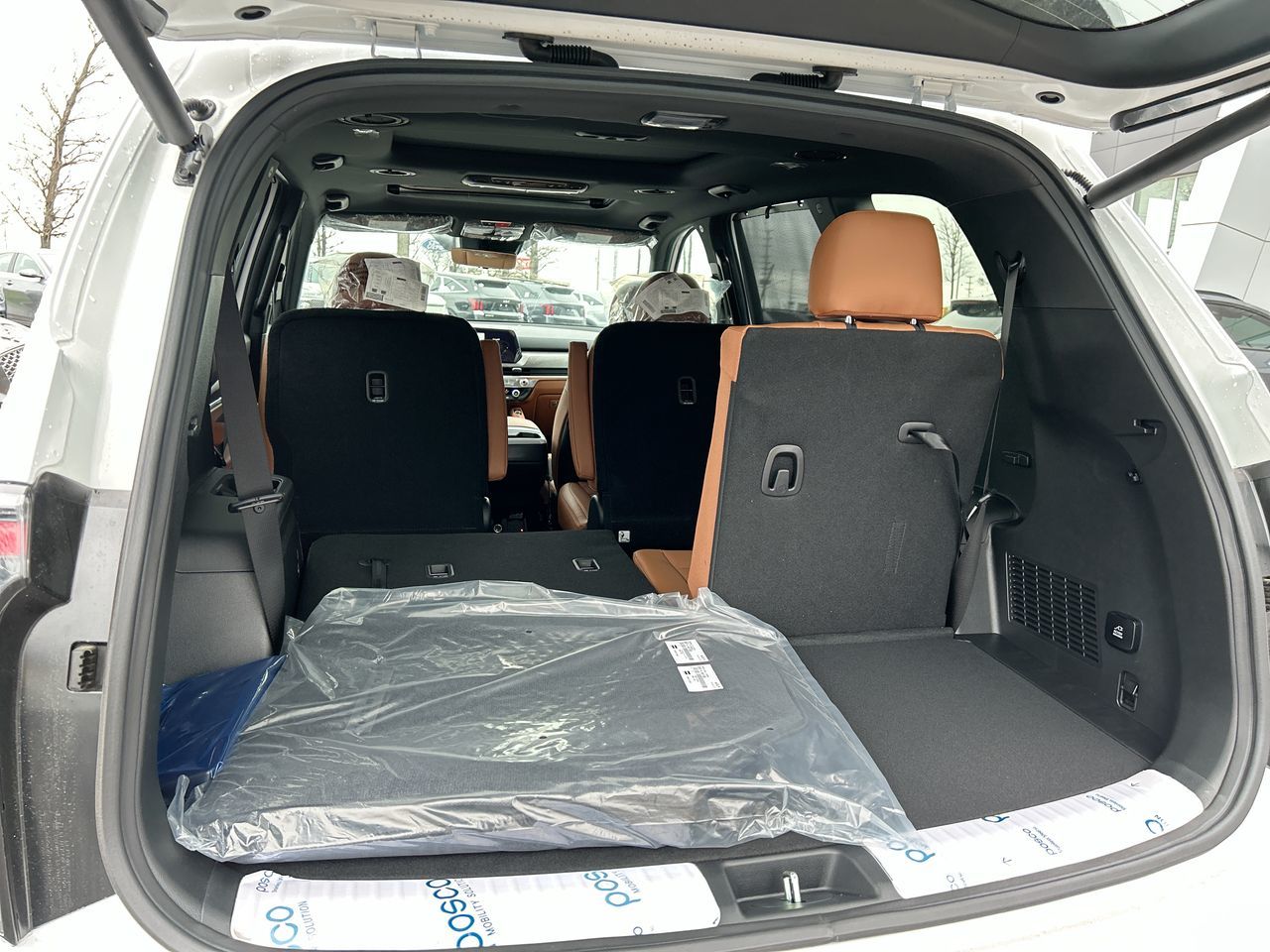 2025 Kia Telluride in Mississauga, Ontario