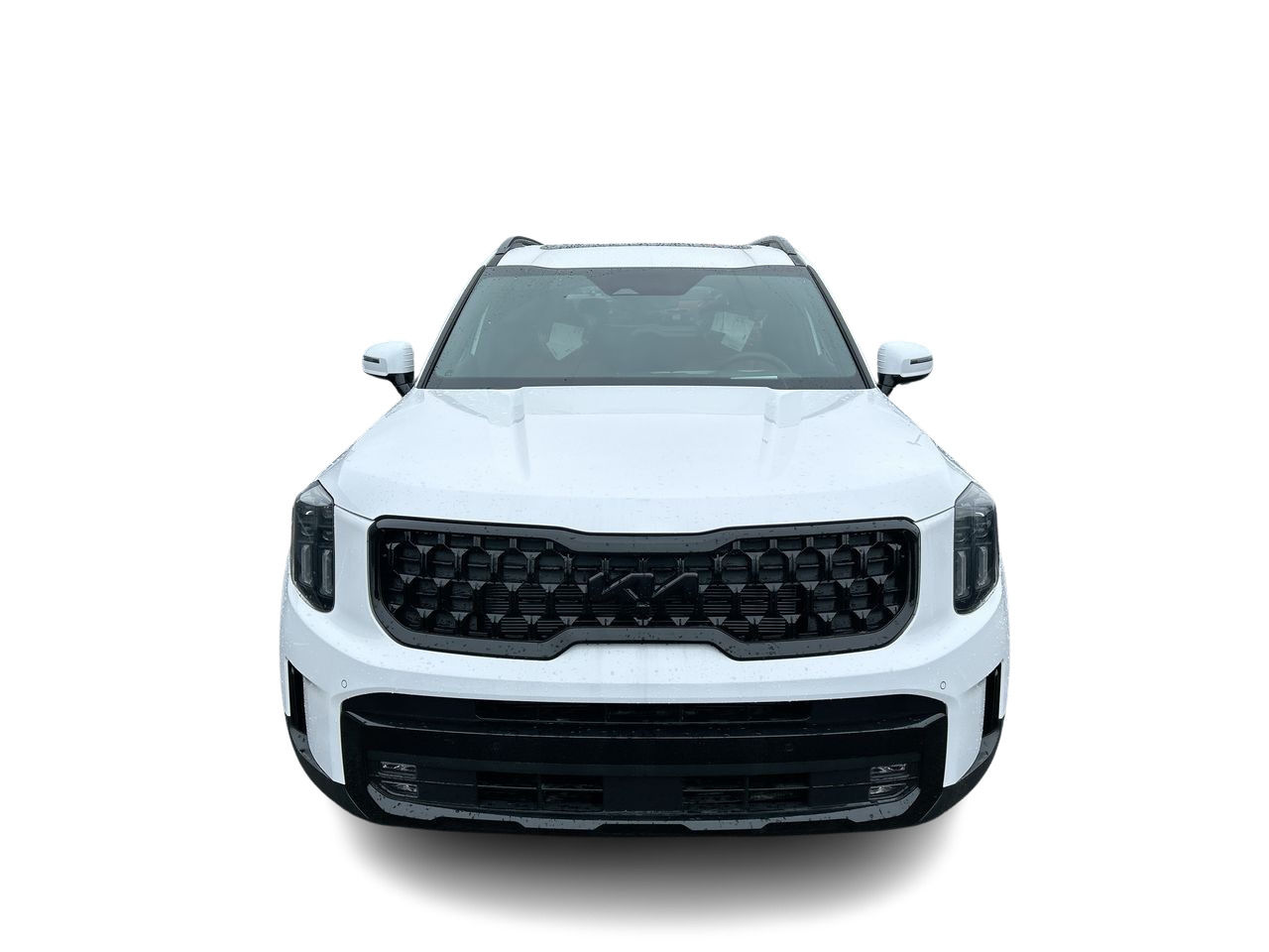 2025 Kia Telluride in Mississauga, Ontario