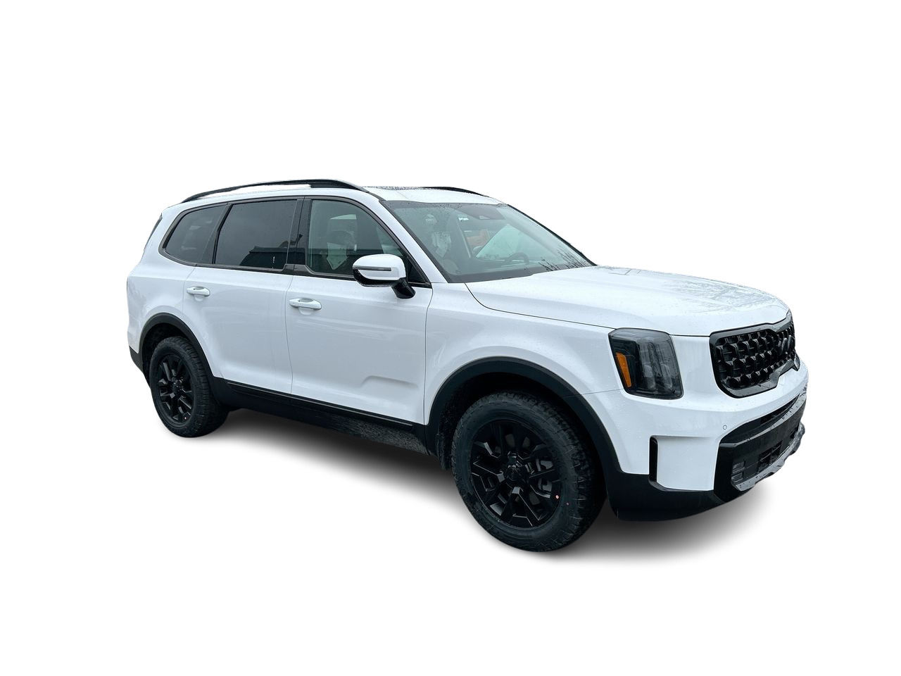 2025 Kia Telluride in Mississauga, Ontario