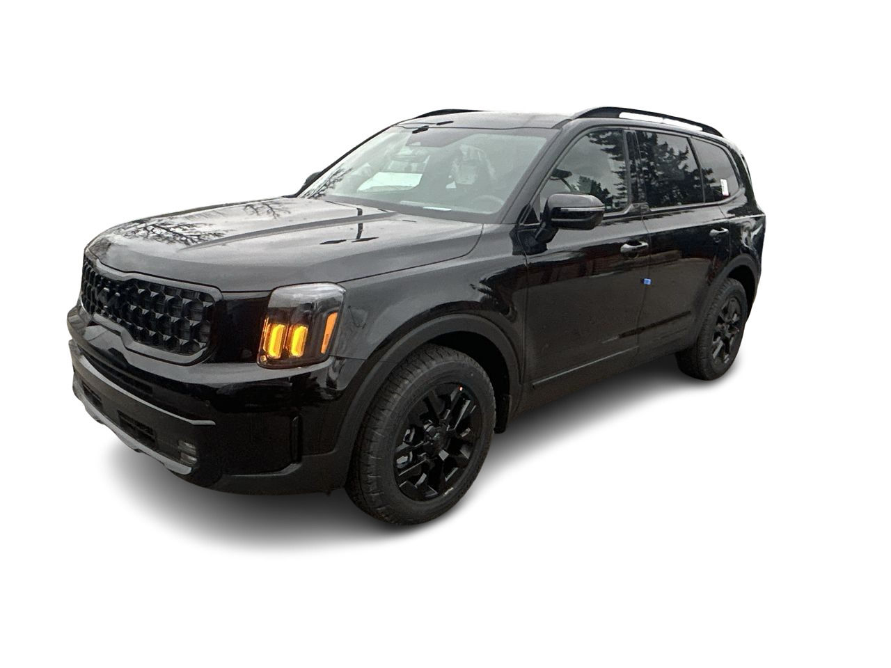 2025 Kia Telluride in Mississauga, Ontario