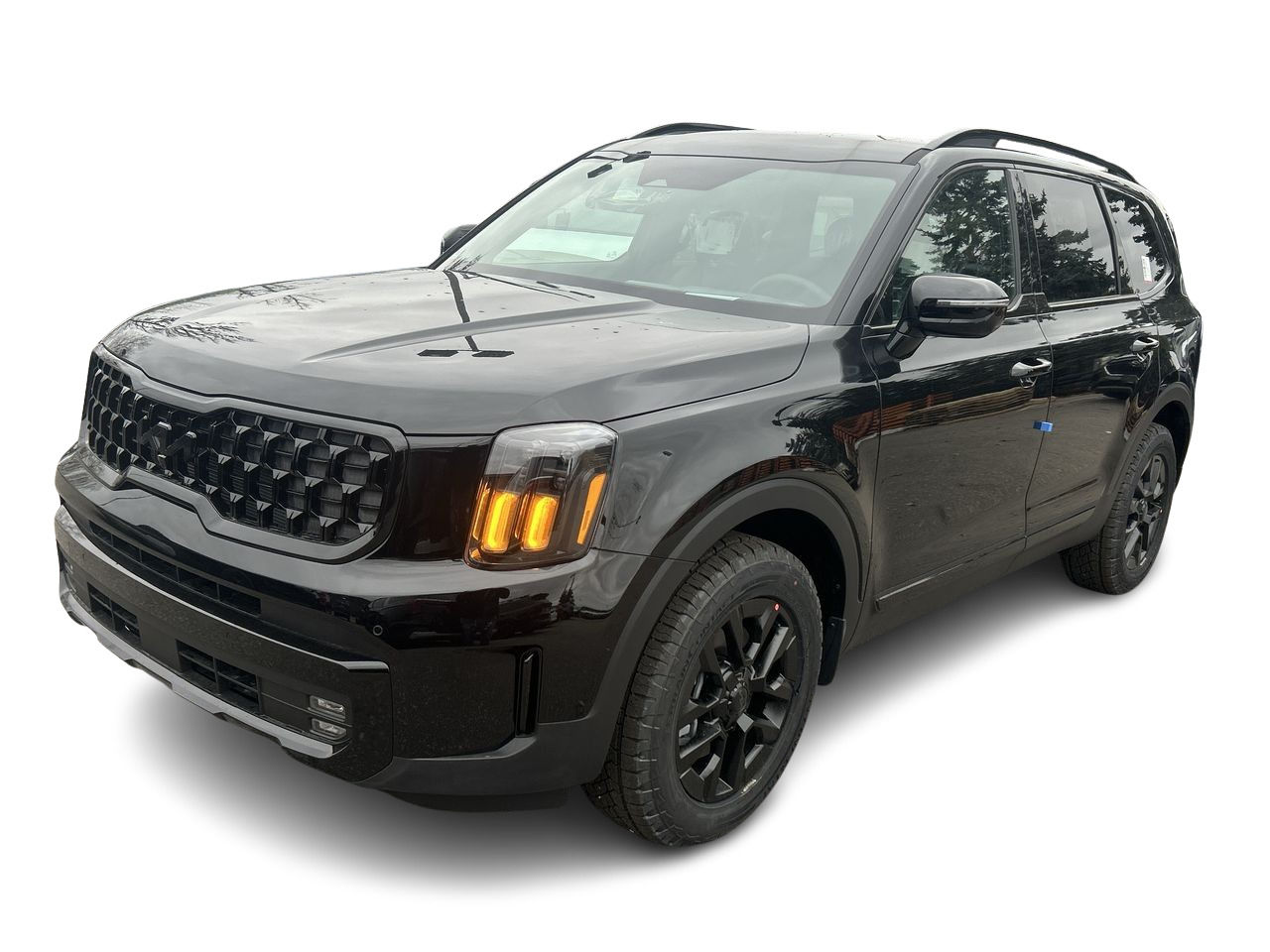 2025 Kia Telluride in Mississauga, Ontario