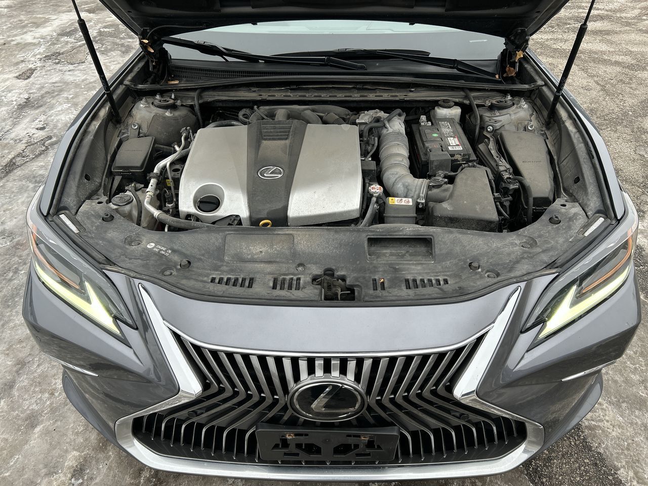 2019 Lexus ES in Mississauga, Ontario