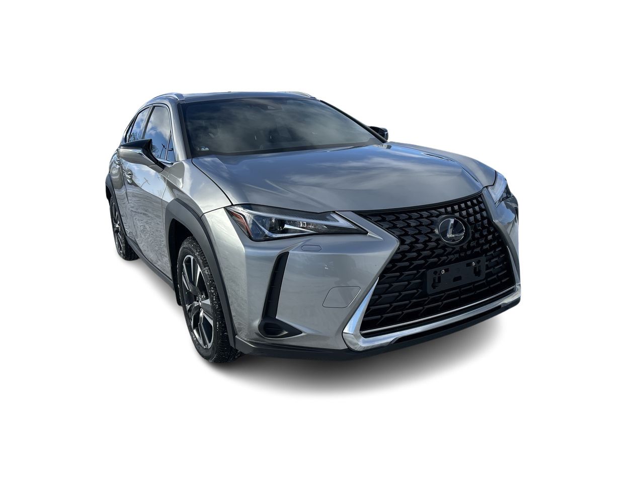 2020 Lexus UX in Mississauga, Ontario