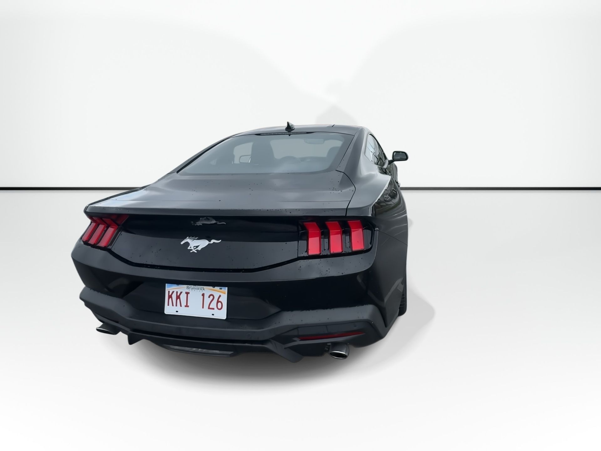 Photo Ford MUSTANG ECOBOOST | Cam | USB | Warranty to 2029 2024 #7
