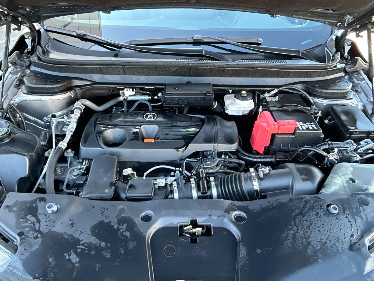 2023  RDX