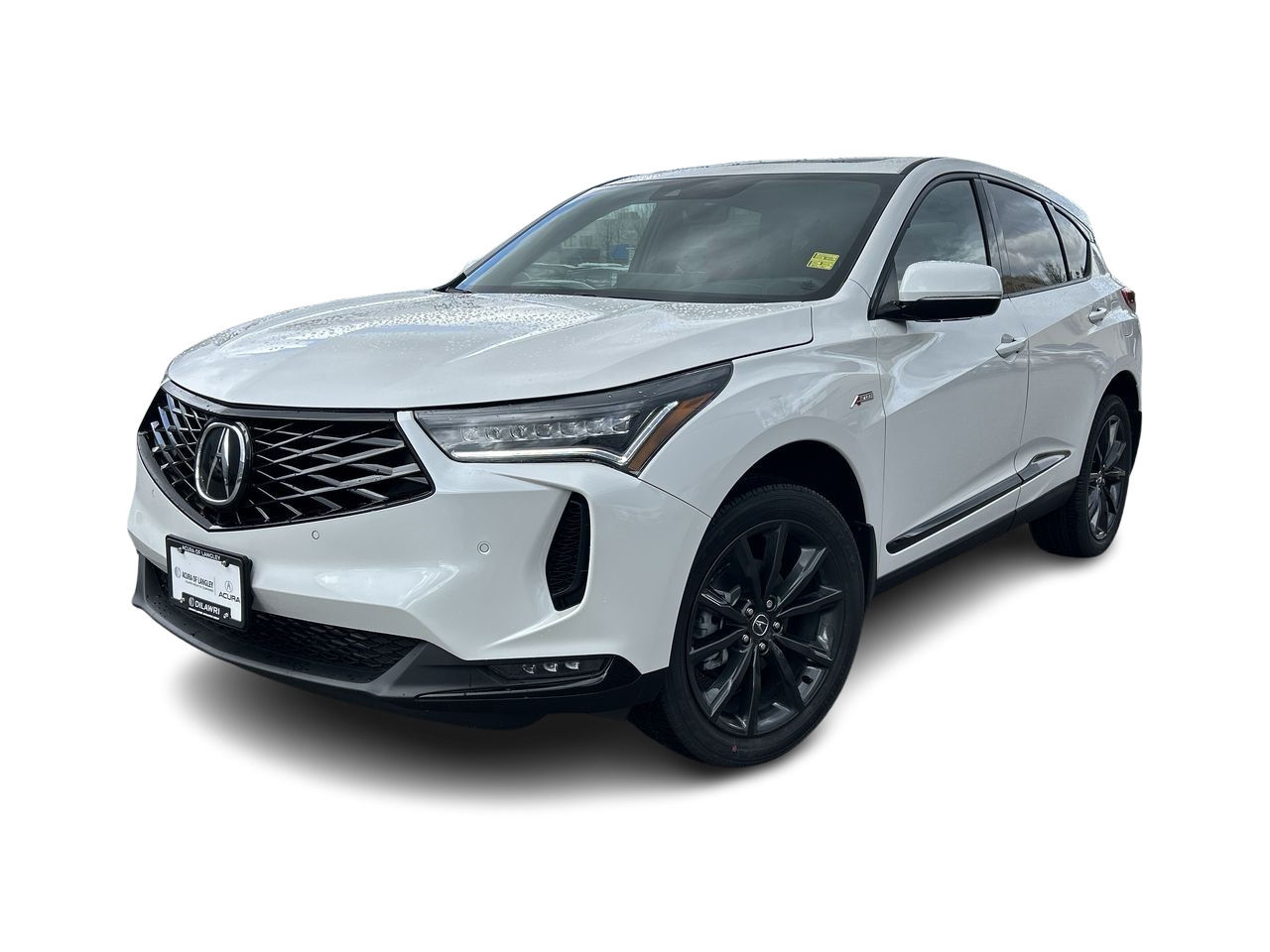 2025 Acura RDX in Langley, British Columbia