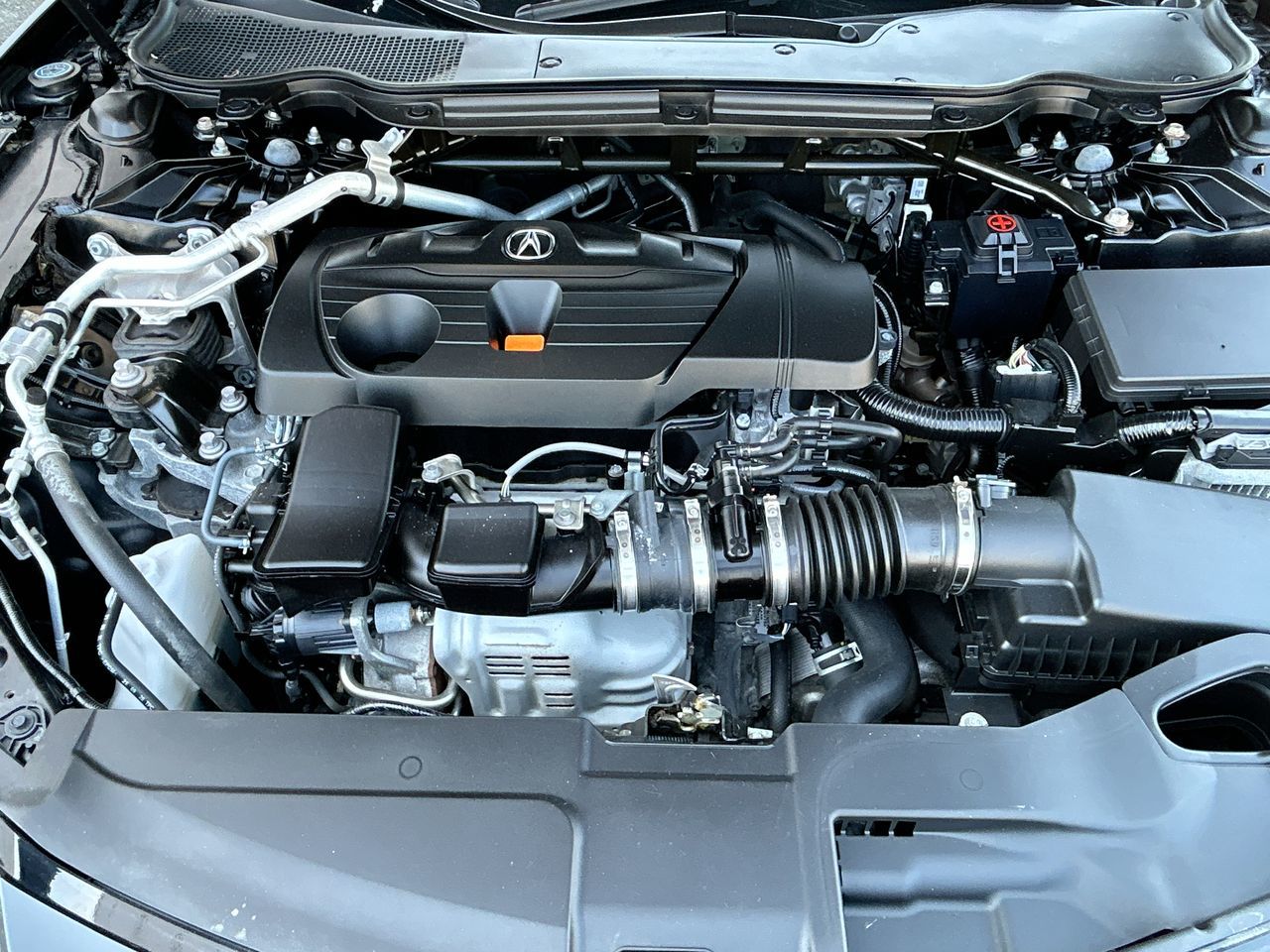 2023  TLX