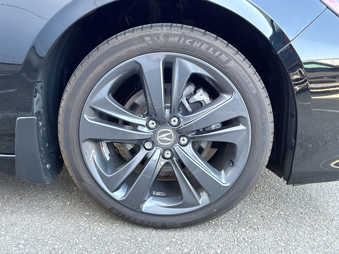 2023  TLX