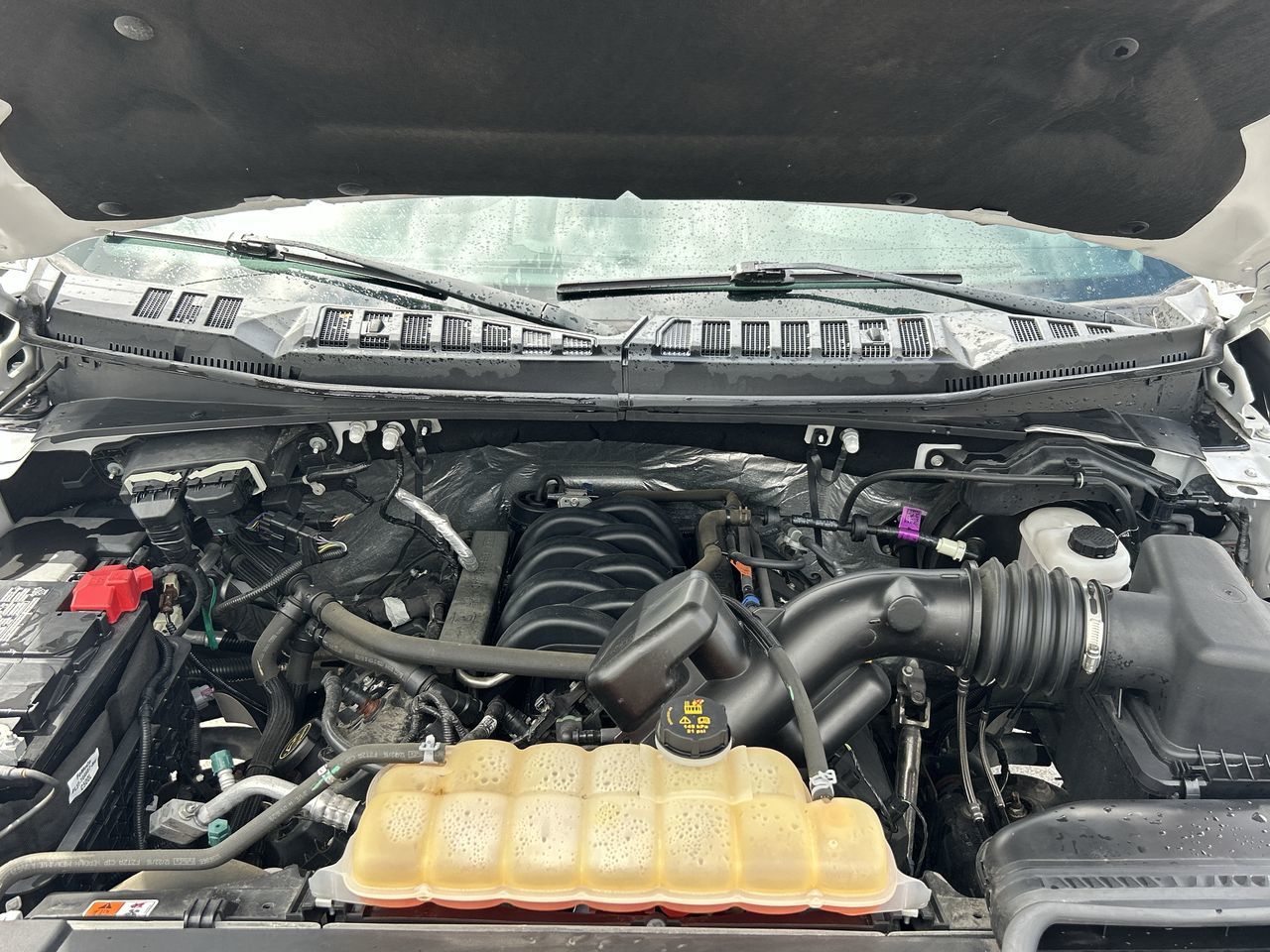 2017 Ford F150 in Langley, British Columbia