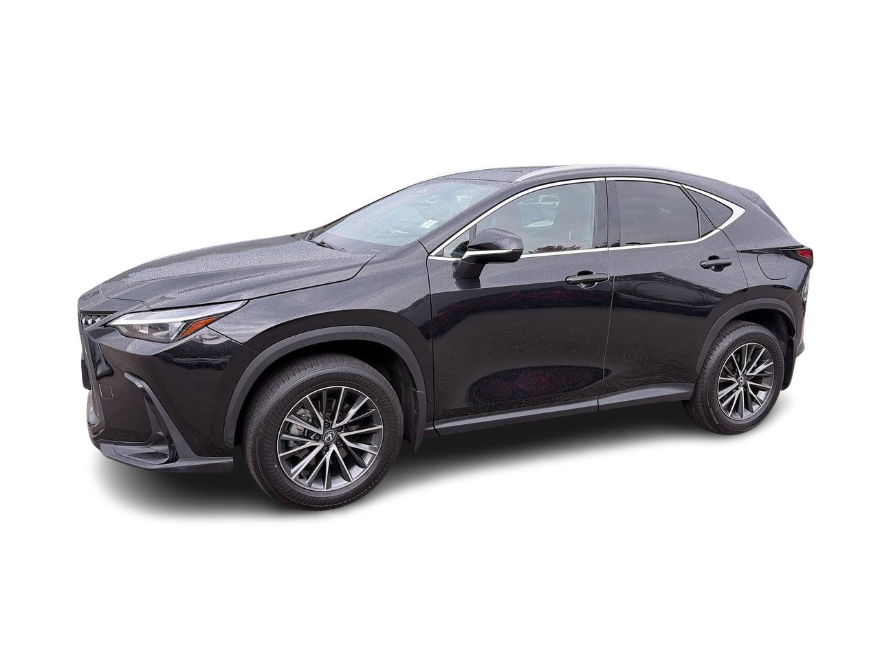 2025 Lexus NX