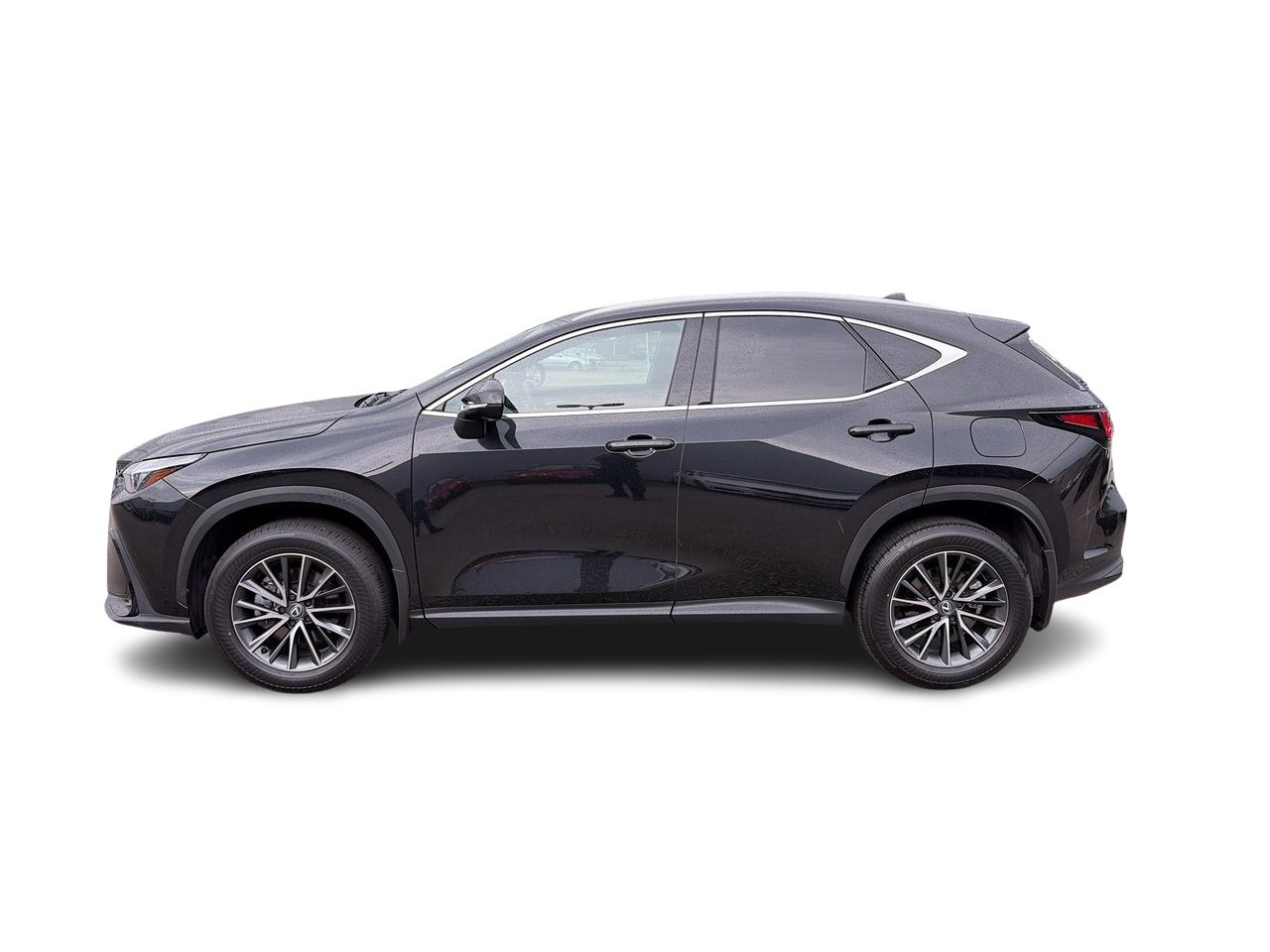 2025 Lexus NX