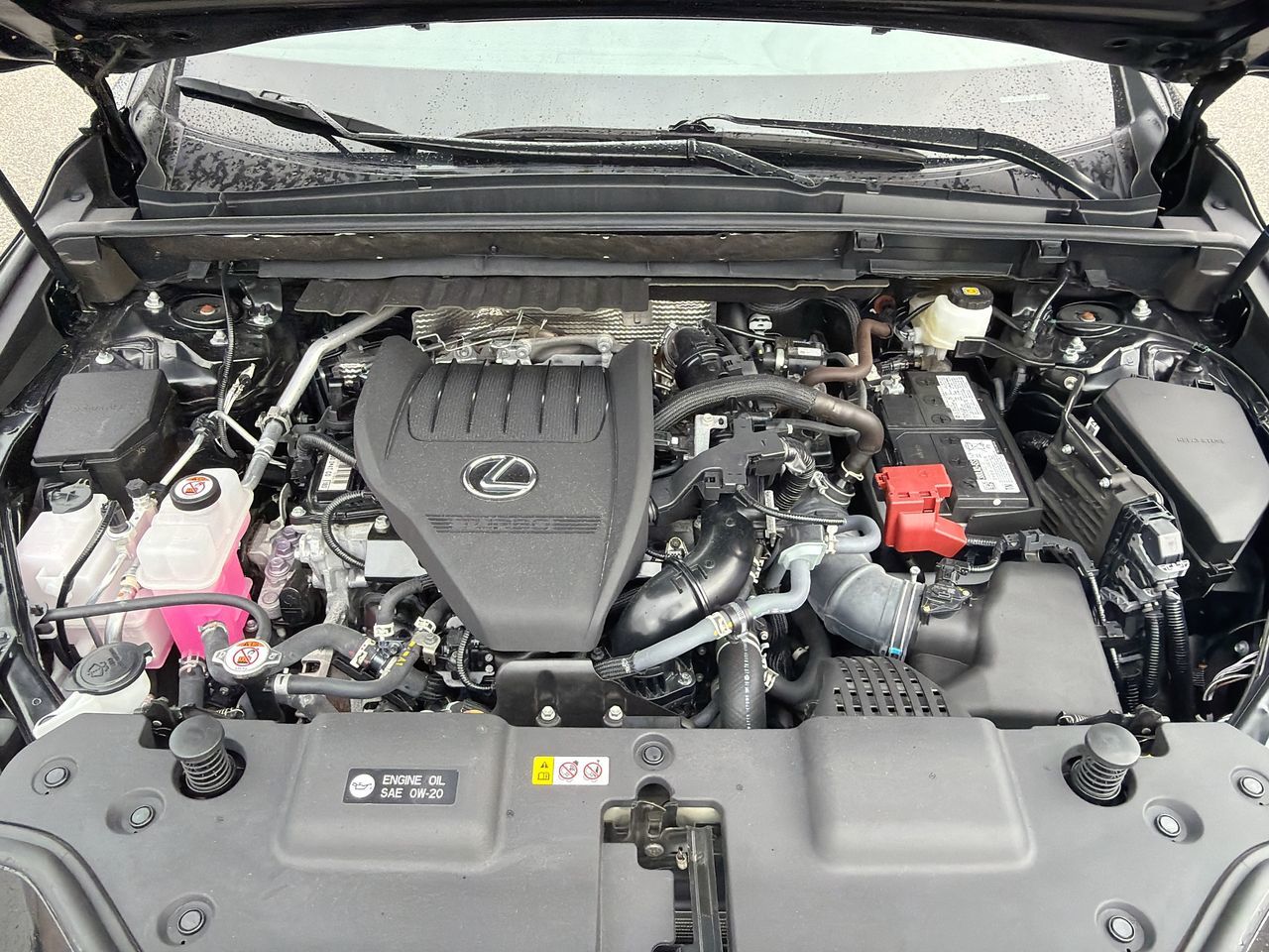 2025 Lexus NX