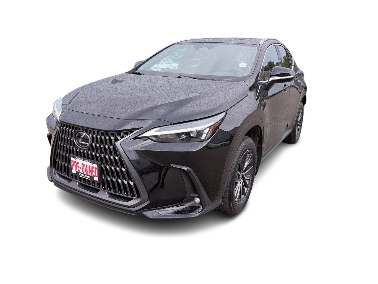 2025 Lexus NX