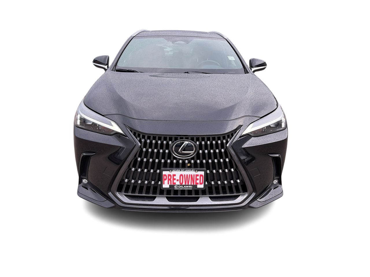 2025 Lexus NX