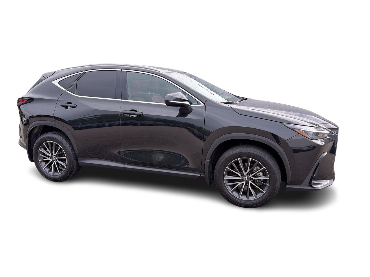 2025 Lexus NX