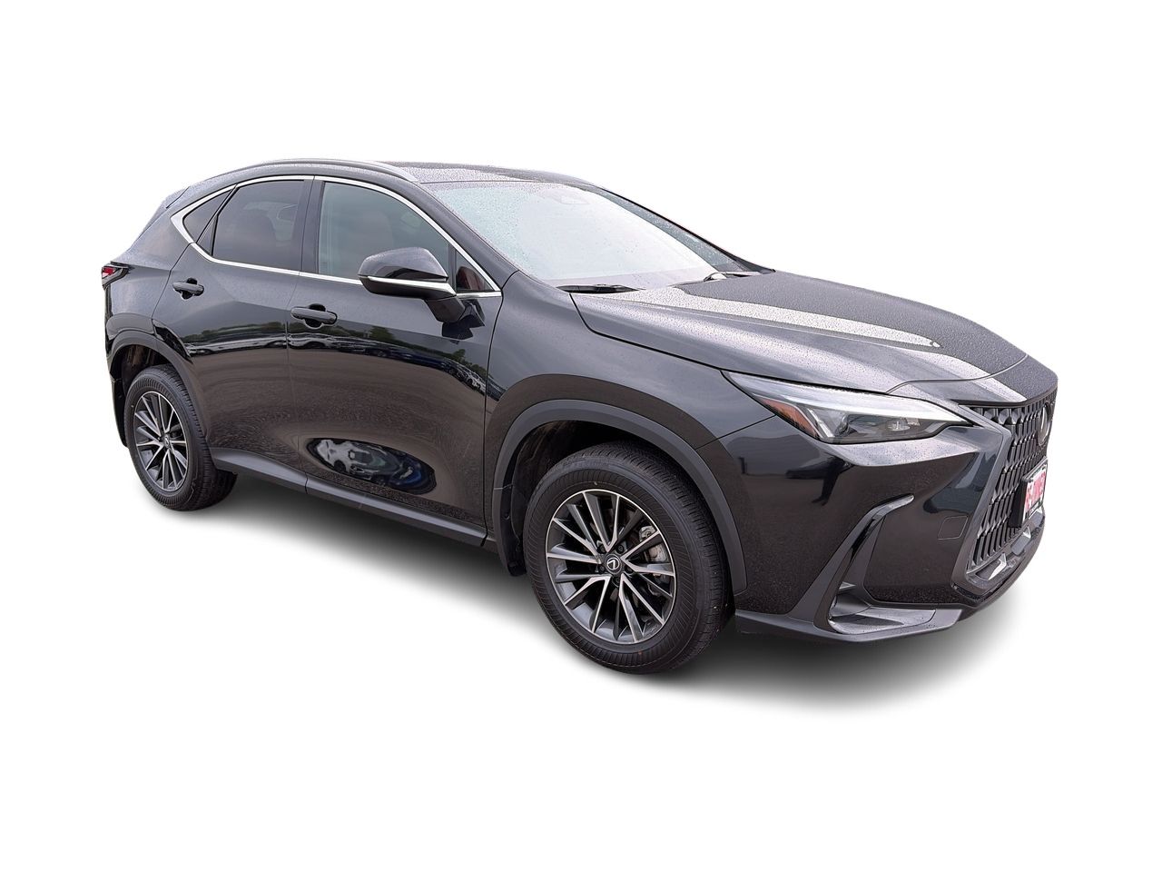 2025 Lexus NX