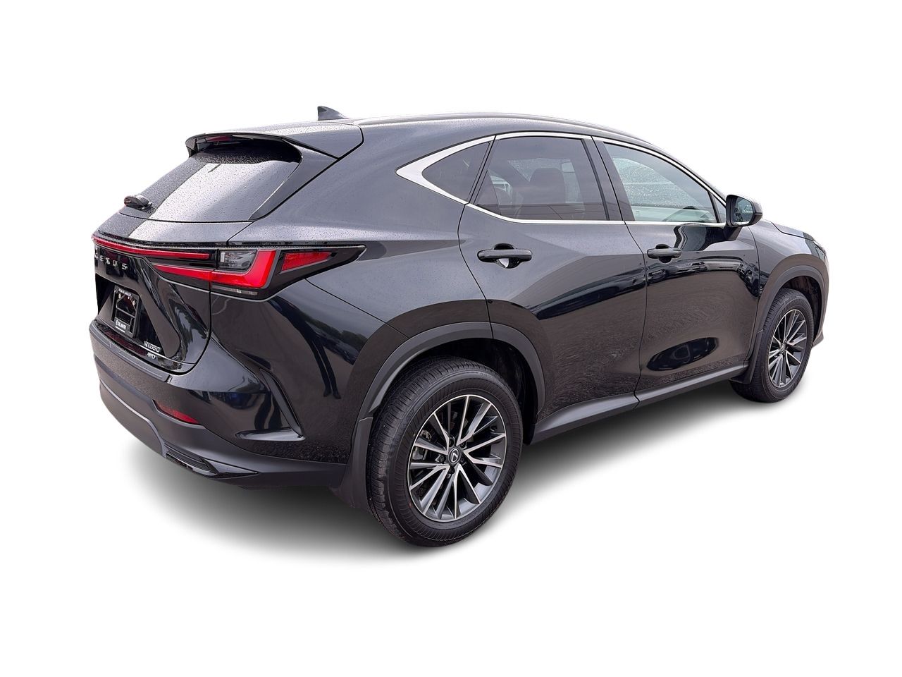 2025 Lexus NX