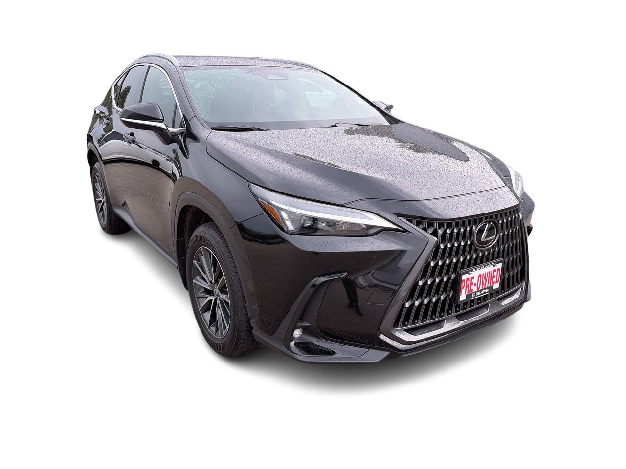 2025 Lexus NX