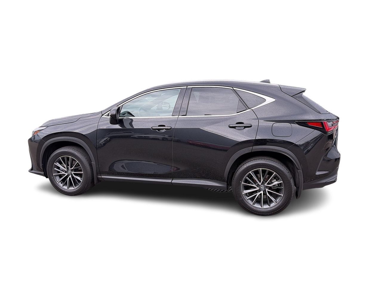 2025 Lexus NX