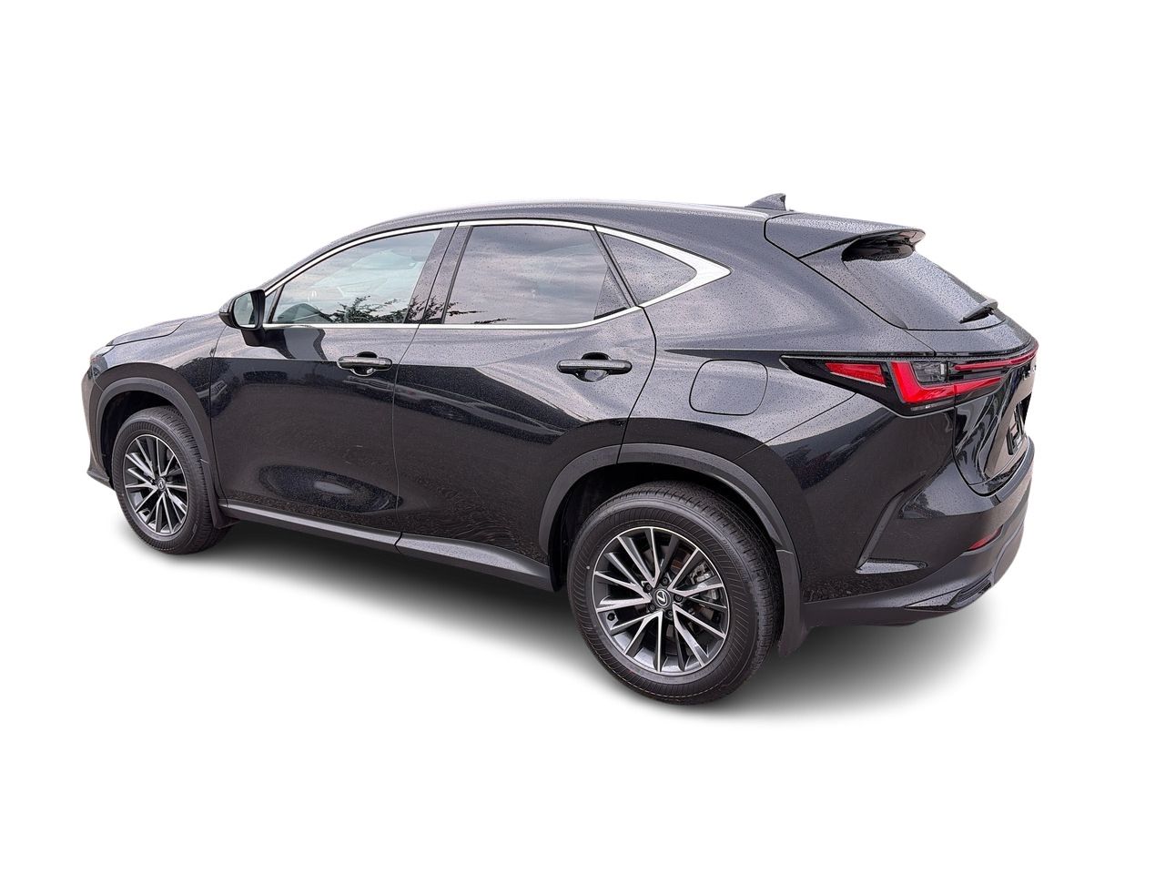 2025 Lexus NX