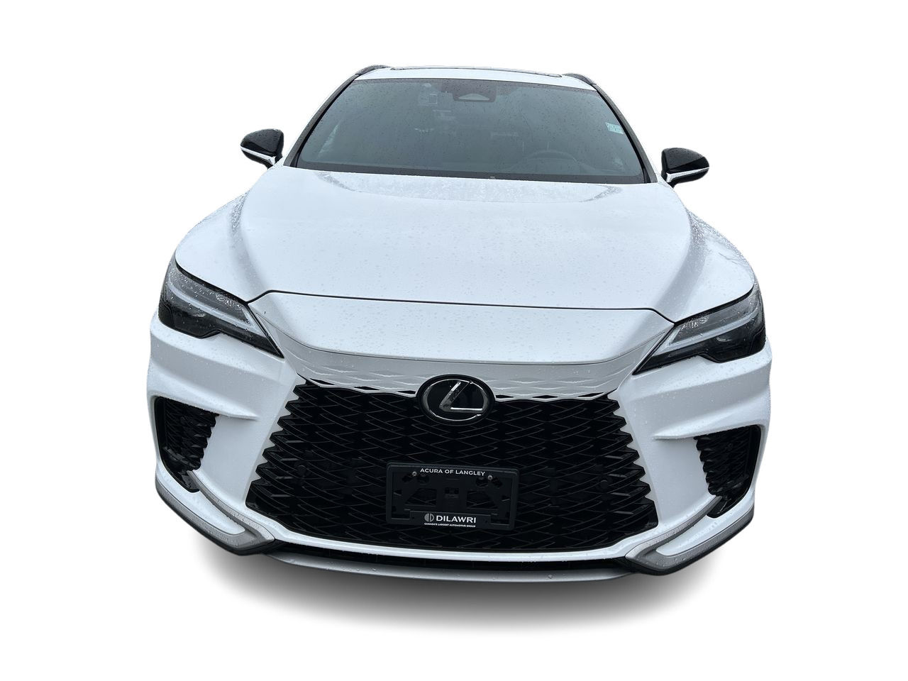 2023 Lexus RX
