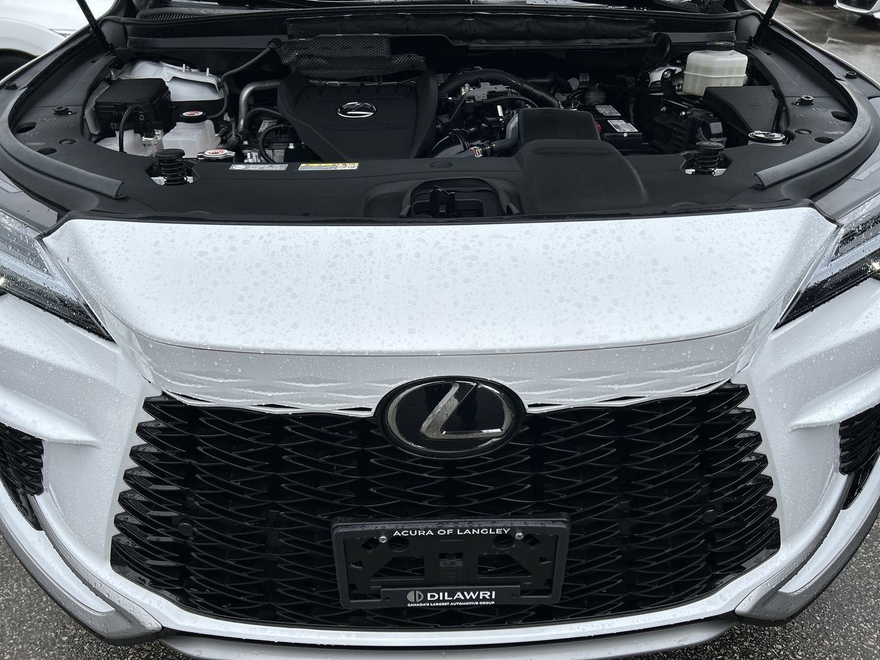 2023 Lexus RX