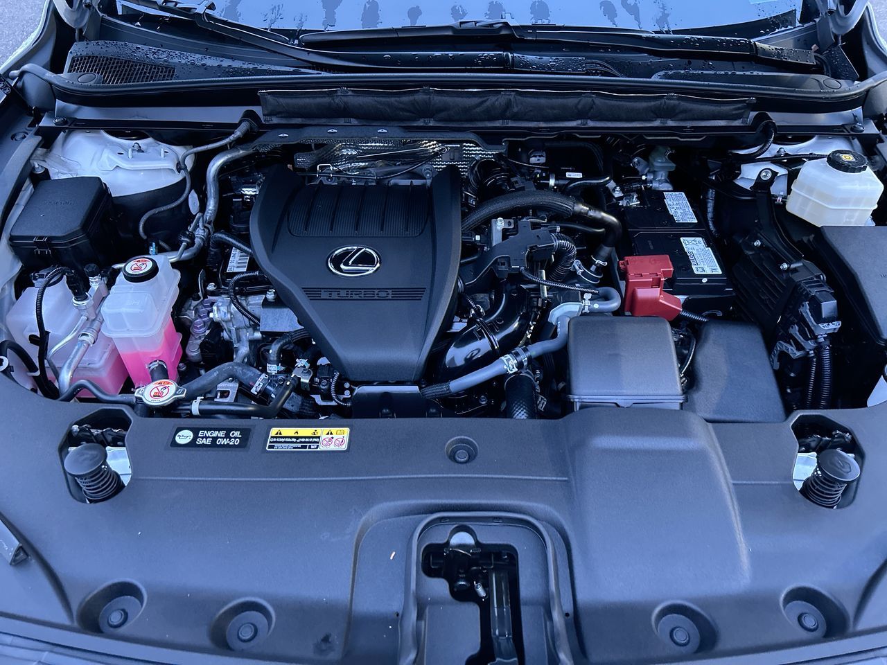 Lexus RX  2023 à Langley, Colombie-Britannique