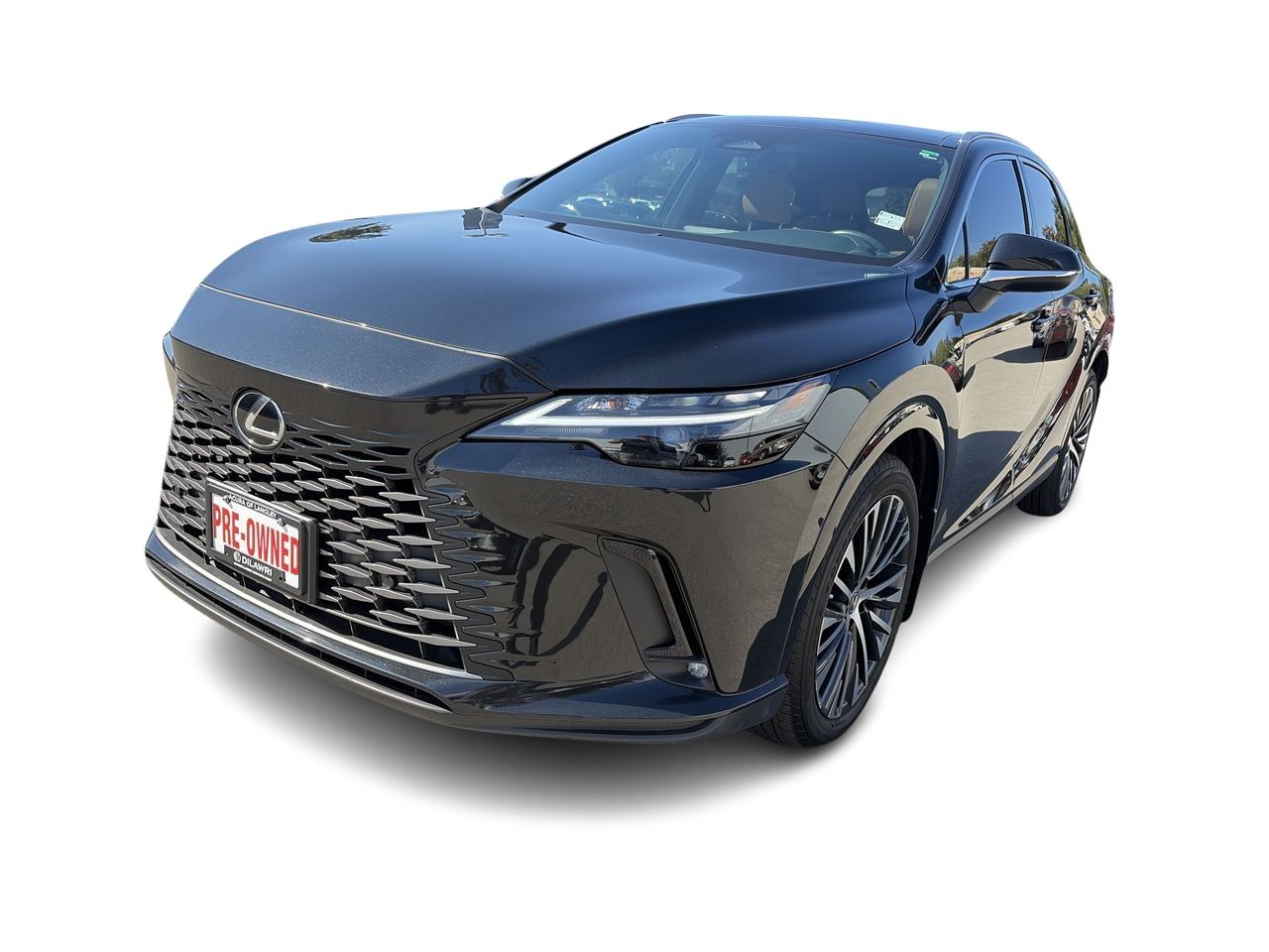 2024 Lexus RX
