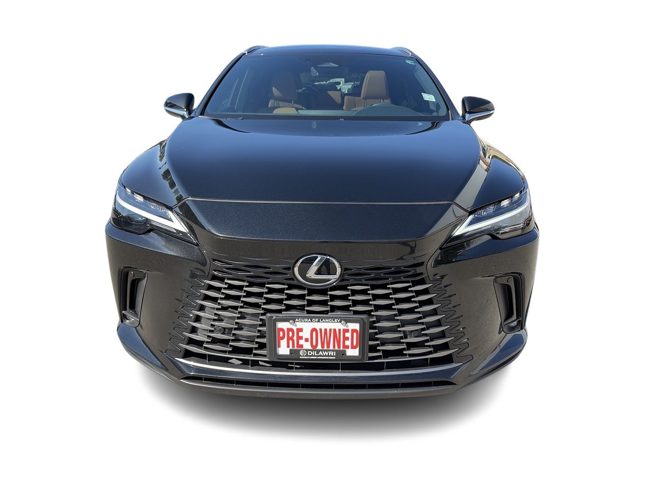 2024 Lexus RX