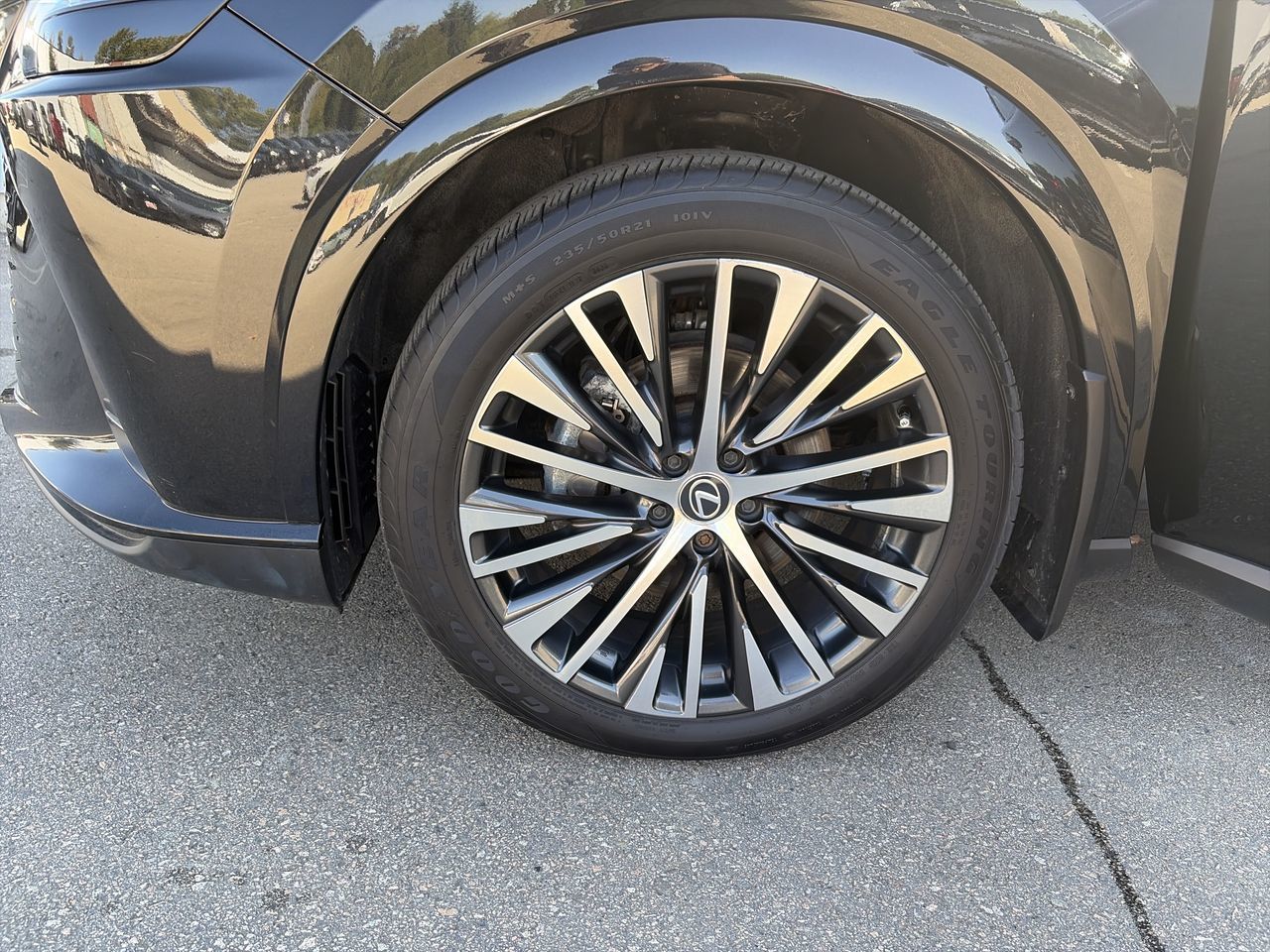 2024 Lexus RX