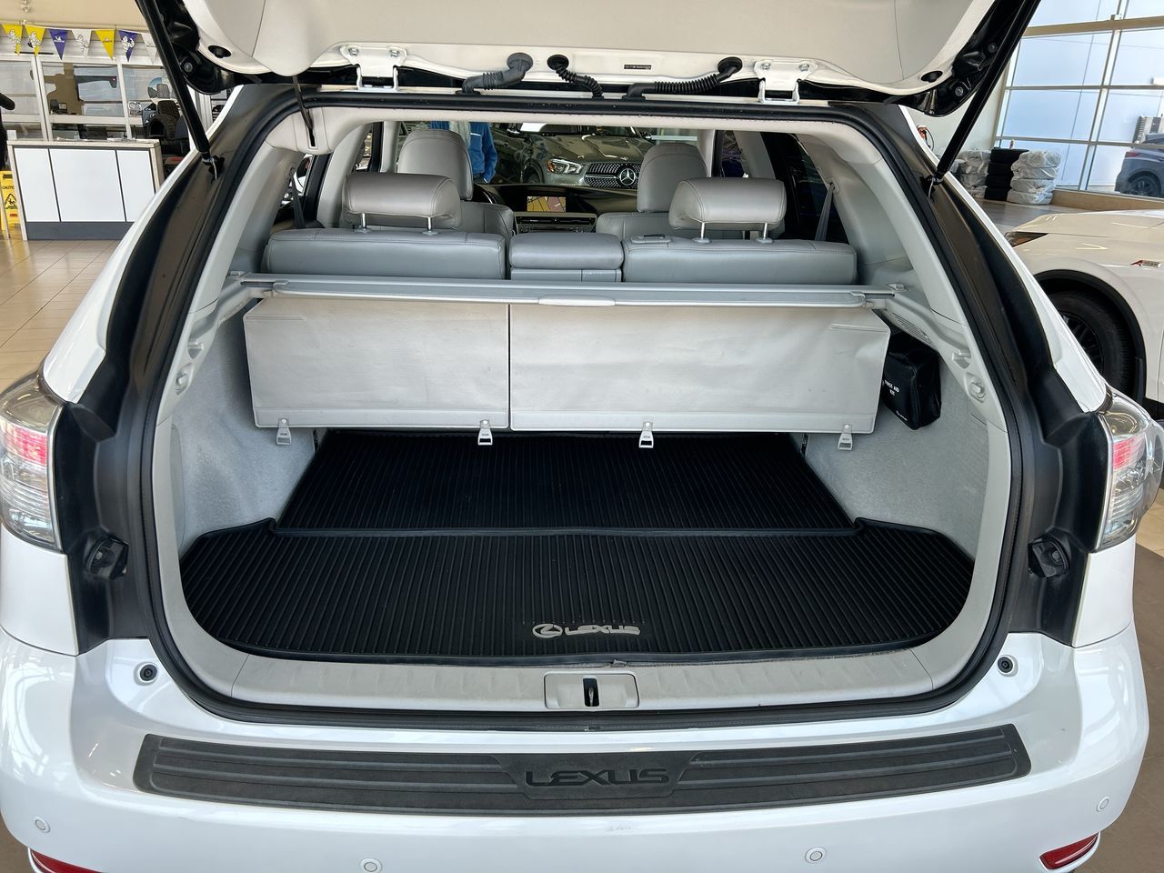 2010 Lexus RX350 in Langley, British Columbia