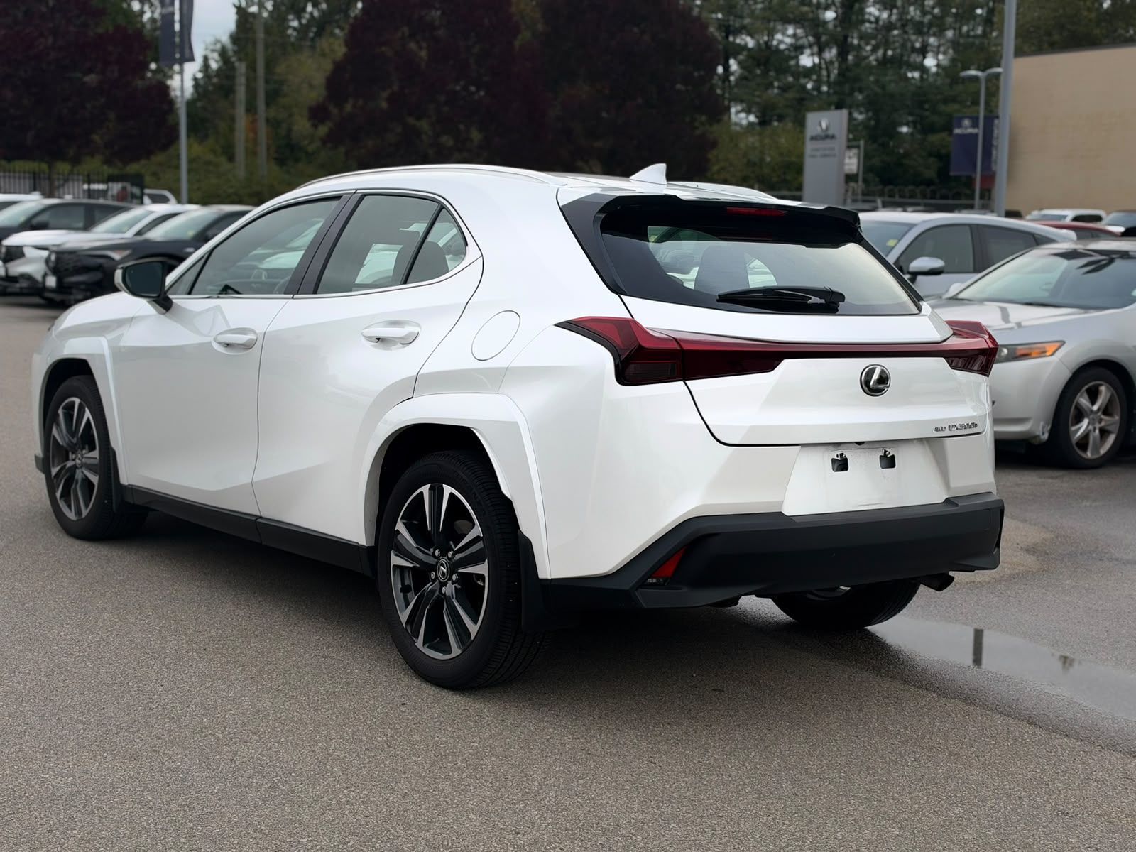 2025 Lexus UXh in Langley, British Columbia