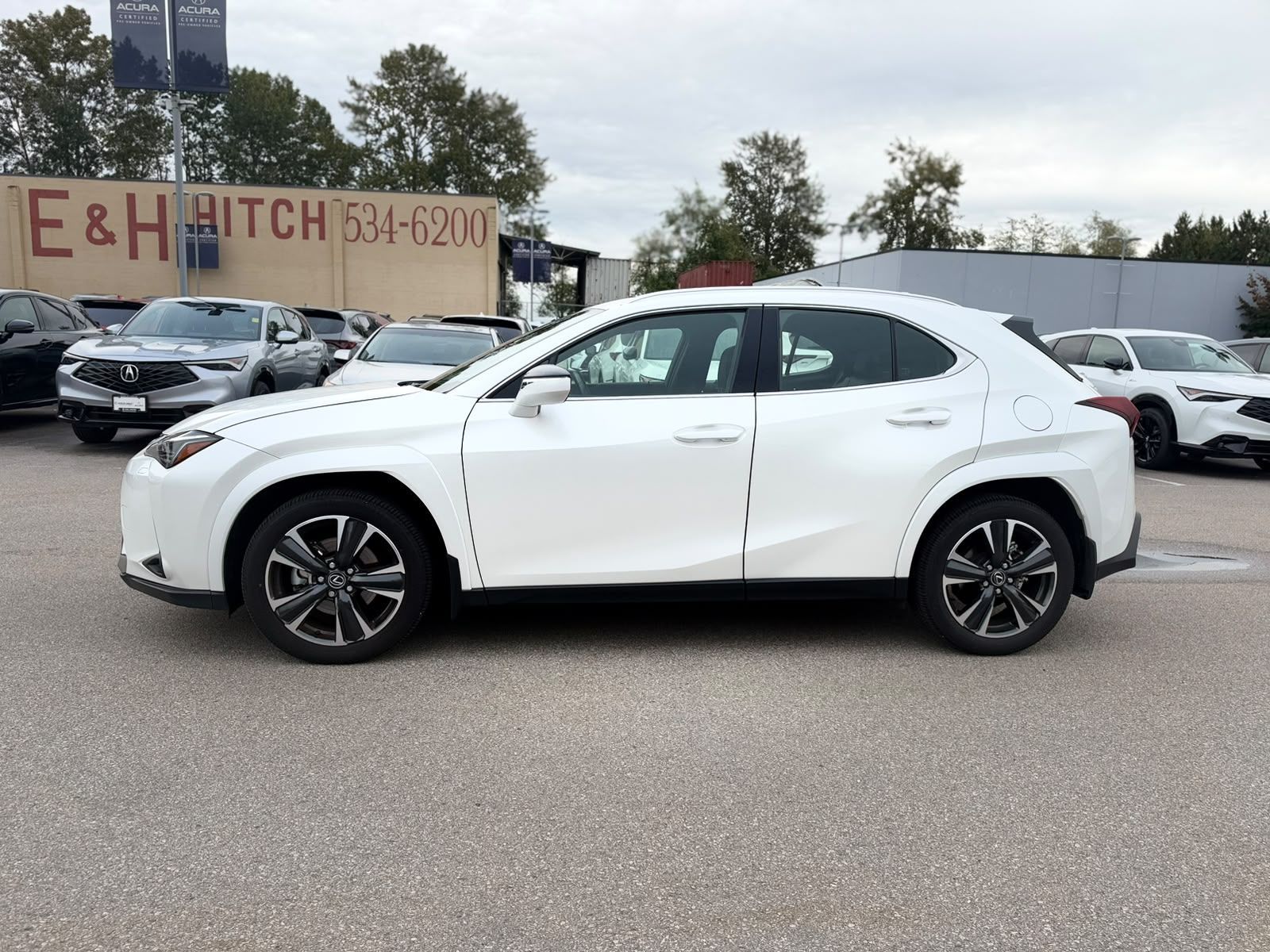 2025 Lexus UXh in Langley, British Columbia