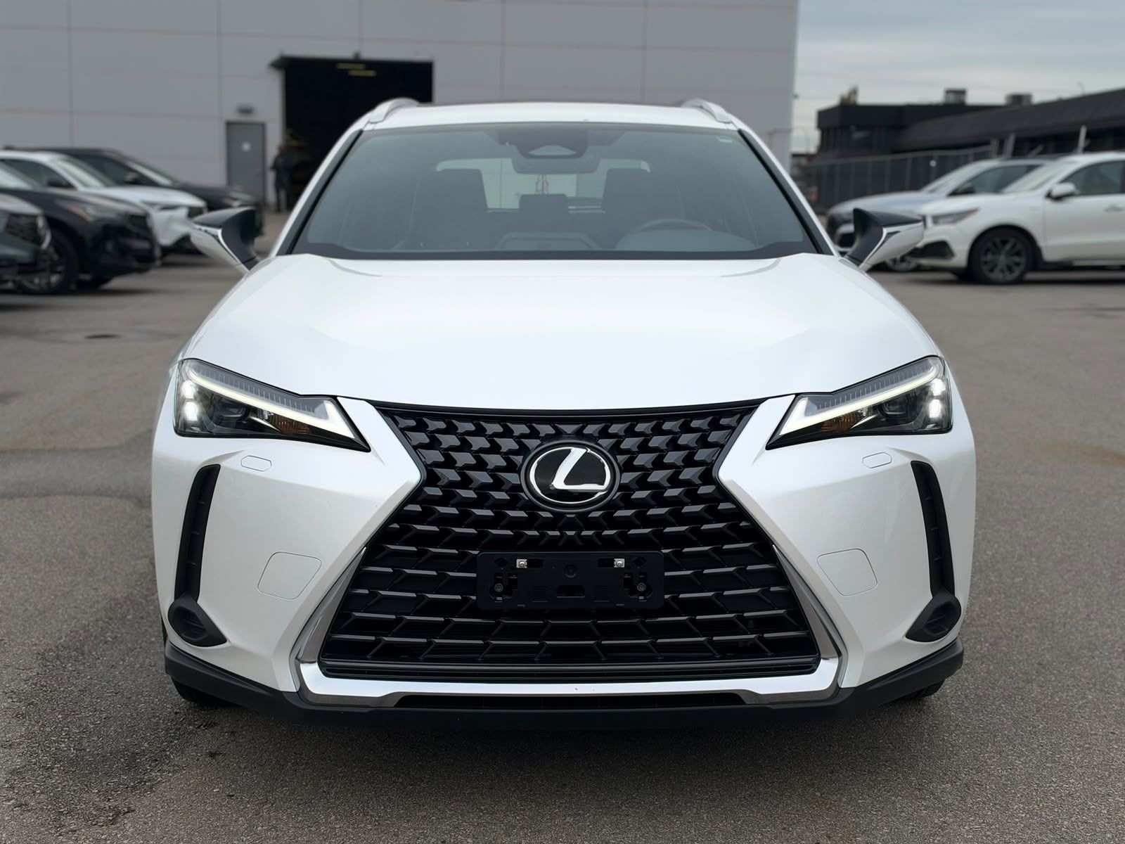 2025 Lexus UXh in Langley, British Columbia