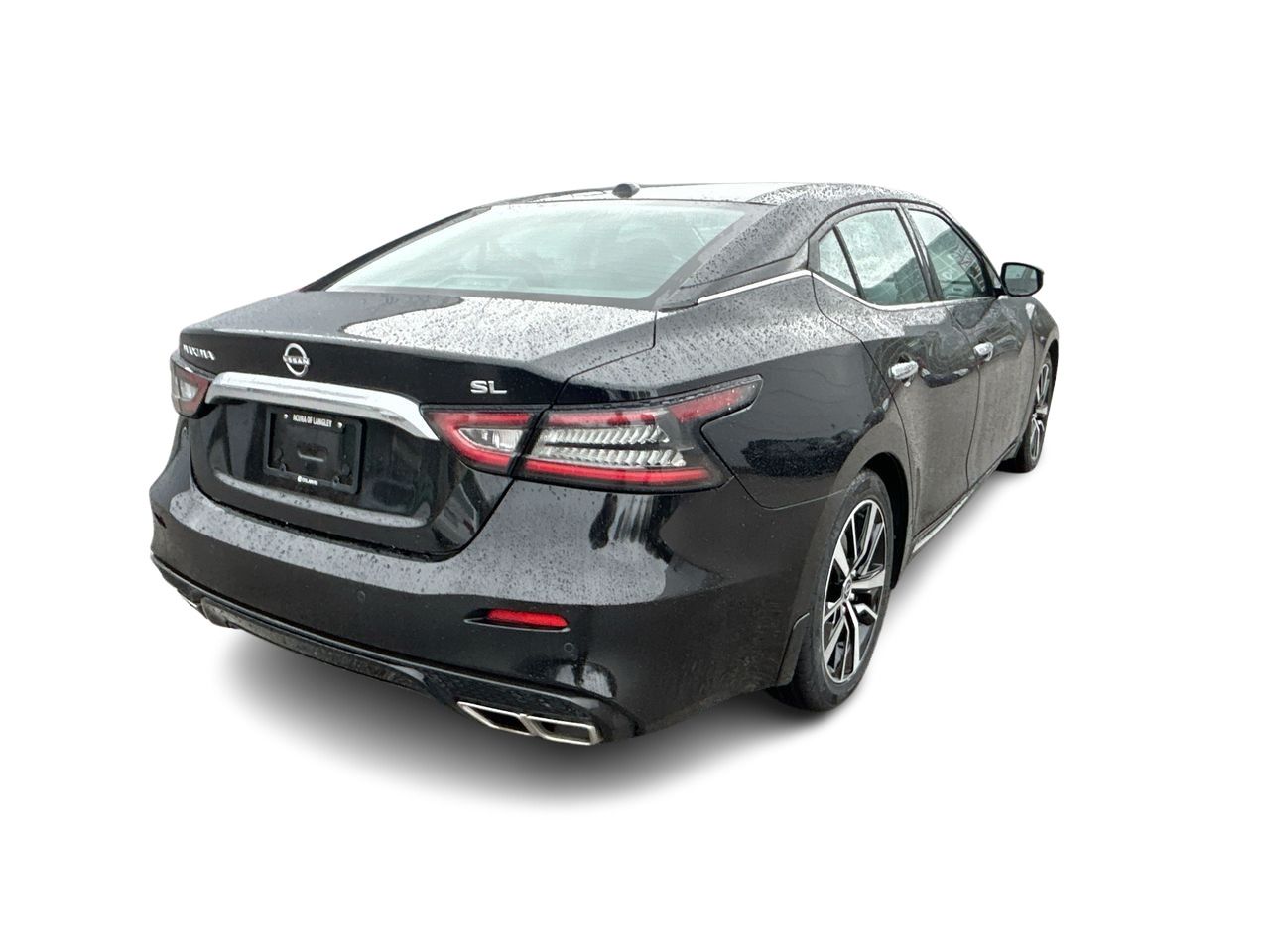 2023  Maxima
