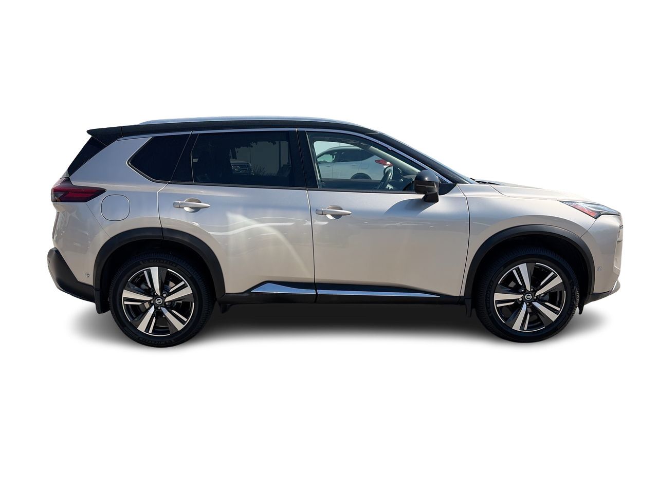 2021  Rogue