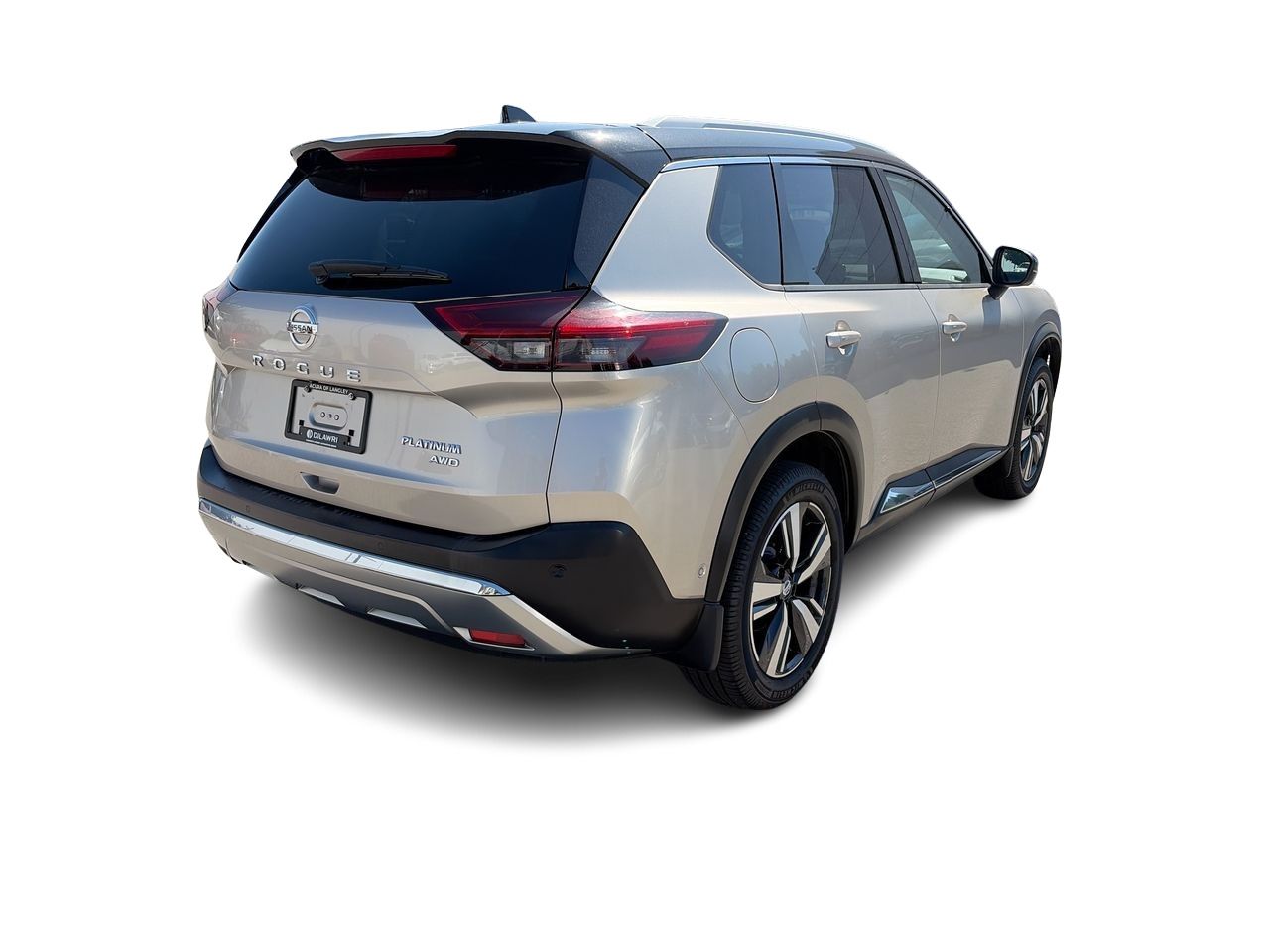 2021  Rogue