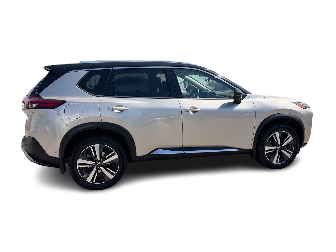 2021  Rogue