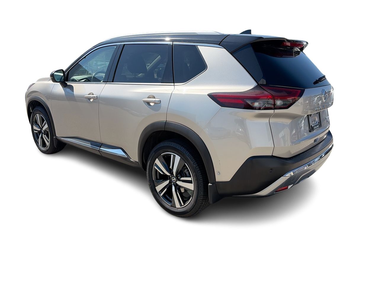 2021  Rogue