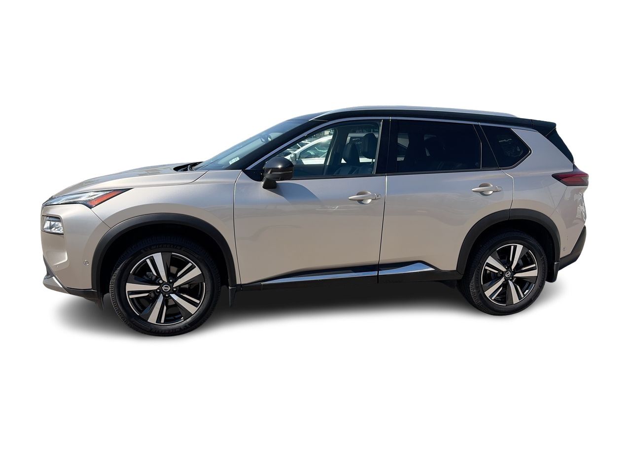 2021  Rogue