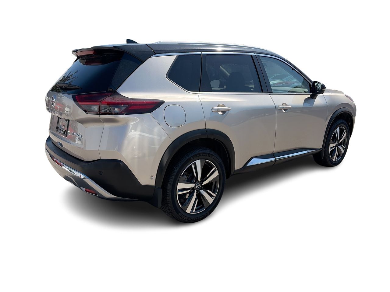 2021  Rogue