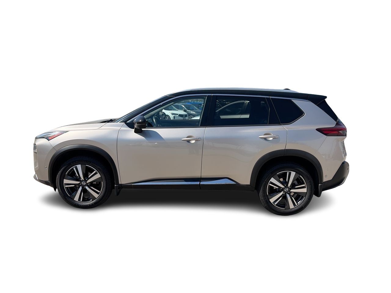 2021  Rogue