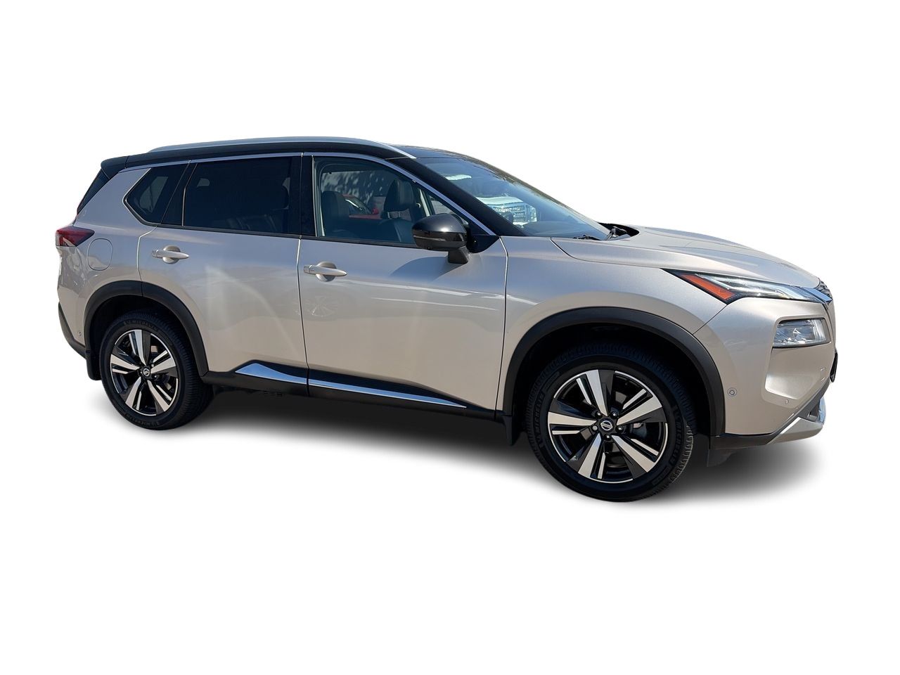 2021  Rogue