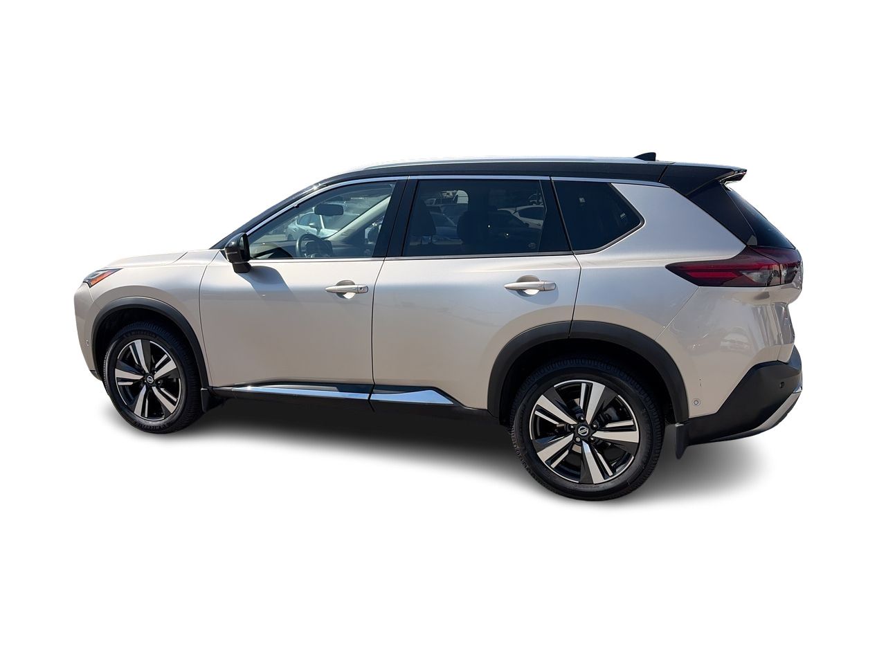 2021  Rogue