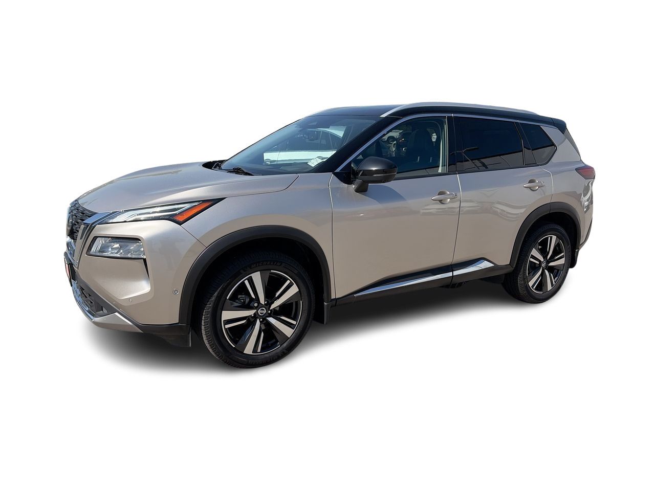 2021  Rogue