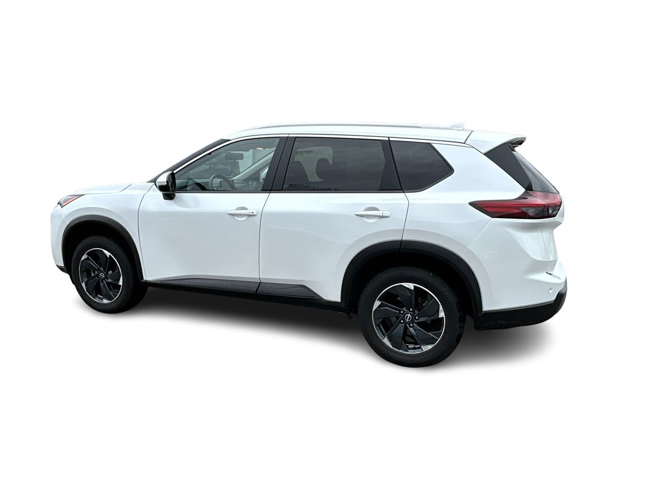 2024  Rogue